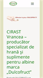 Mobile Screenshot of cirast.com